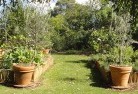 Fentonburyvegetable-gardens-3.jpg; ?>